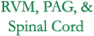 RVM, PAG, and Spinal Cord